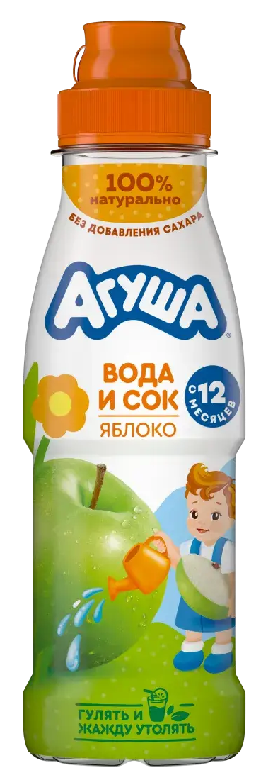 291505