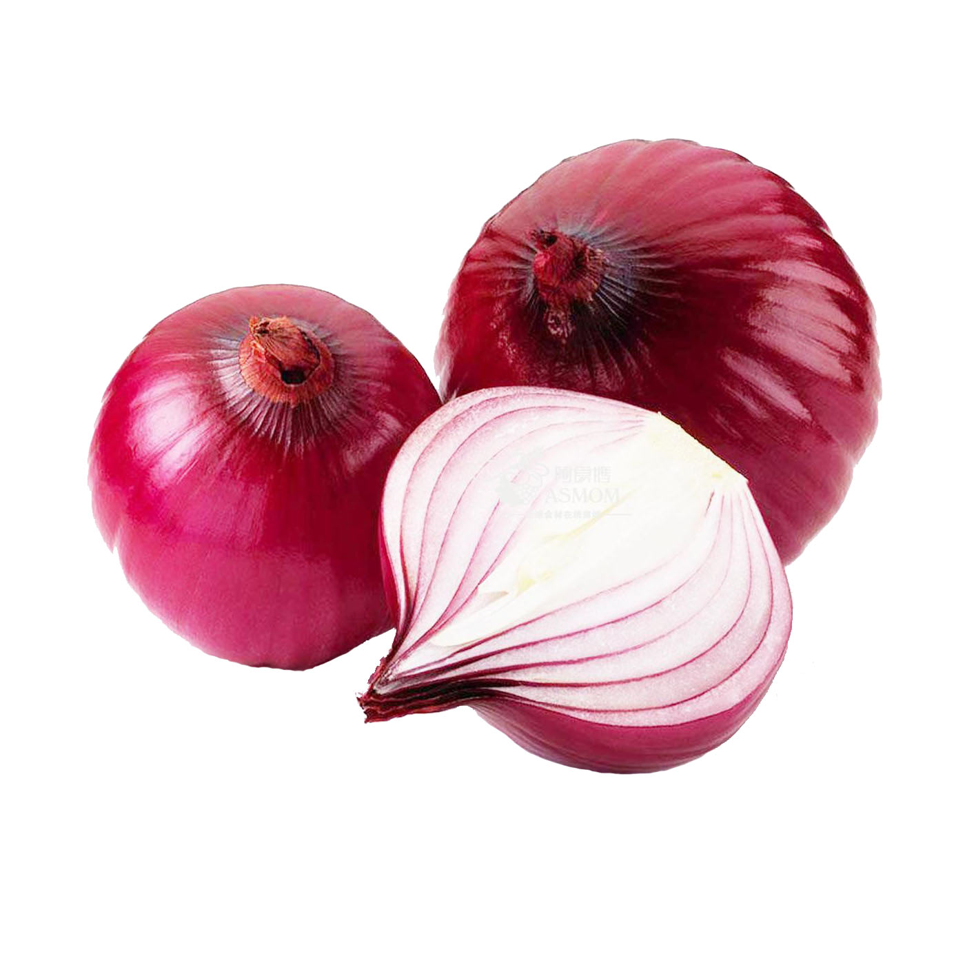 048105