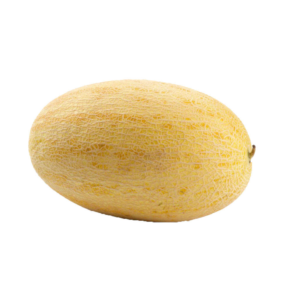 054751