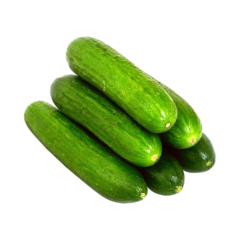 244203