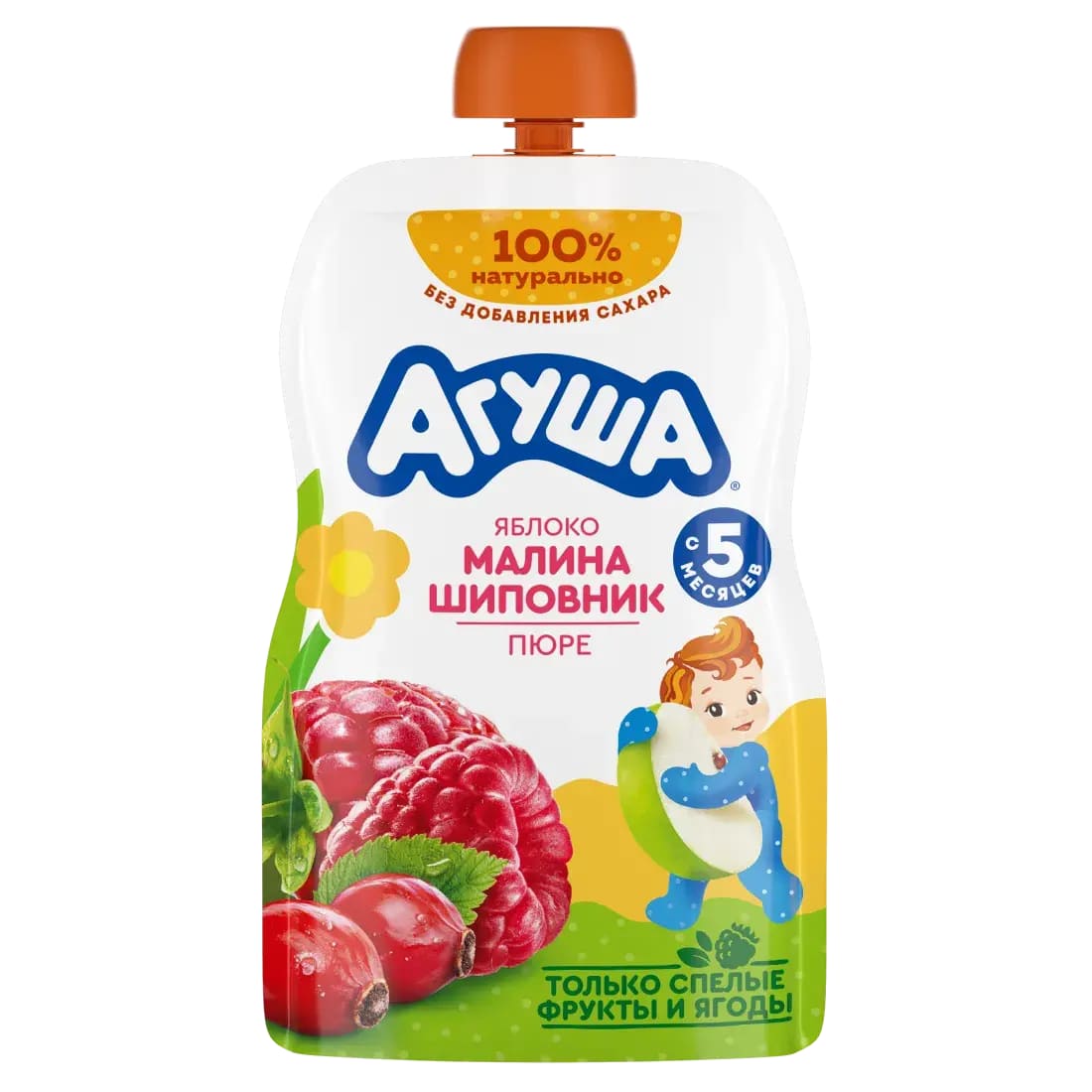 308569
