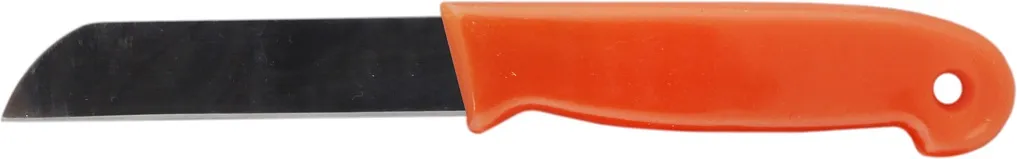 427824