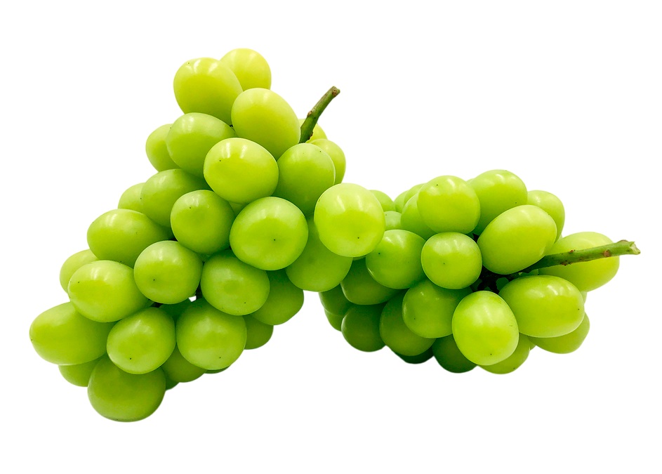 425504