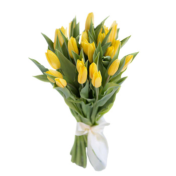 Тюльпан 50см Россия 1шт