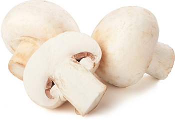 Грибы Шампиньоны свежие