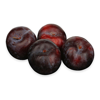 Слива черная