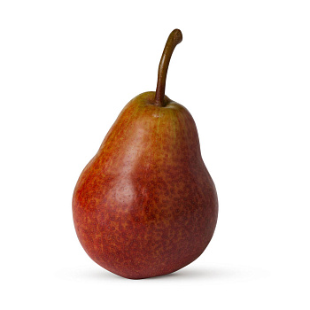 Груши Форель