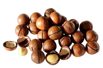 Орех макадамия