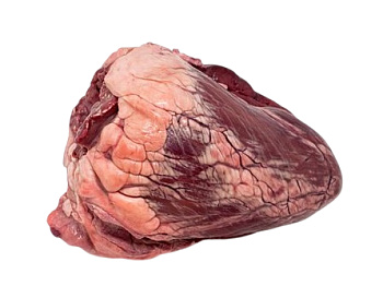 Сердце говяжье МК Агинский