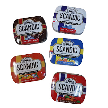Конфеты без сахара SCANDIC в ассортименте 14г