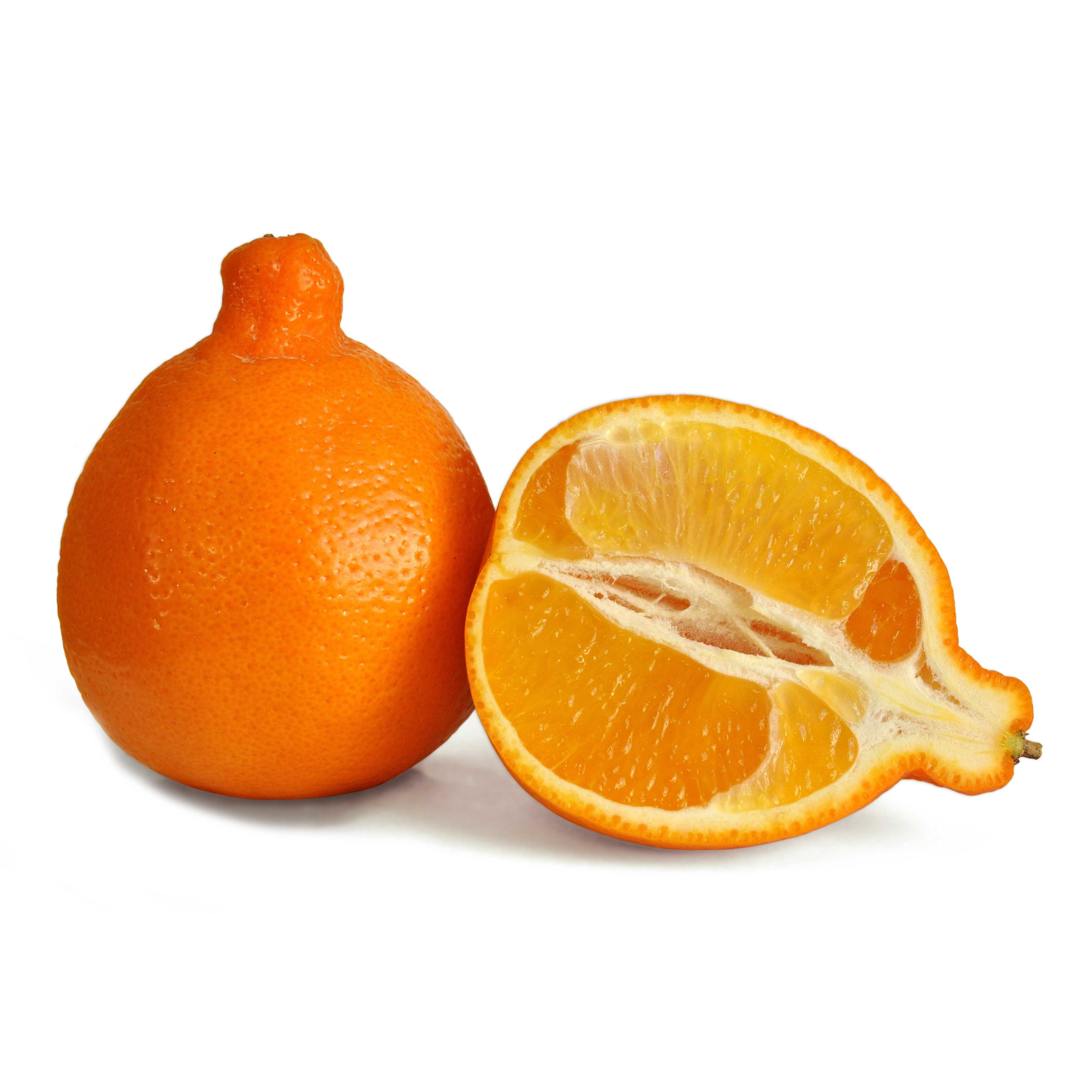 018646
