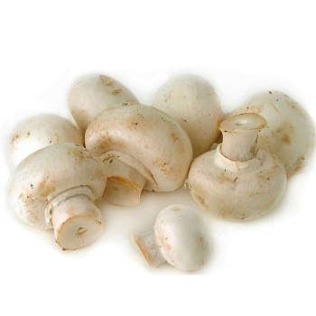 Шампиньоны целые с/м 