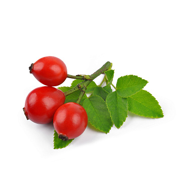 Ягода Шиповник  кг