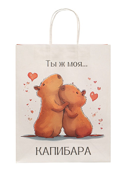 Пакет Моя Капибара бумажный 10679357