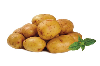 Картофель Новый урожай