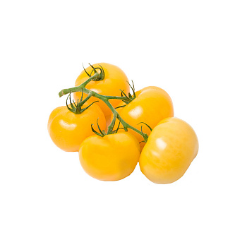 Помидоры на ветке Желтые
